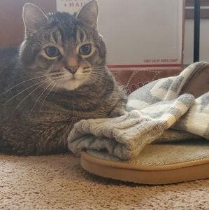 🐱TIGER LOVES PINK🐱